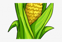 Corn Clipart Husking - Corn Animated Transparent PNG ...