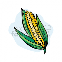 Golden Corn Husked clipart. Royalty-free clipart # 128338