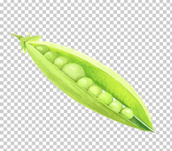 Pea Legume Vegetable Food PNG, Clipart, Bean, Butterfly Pea ...
