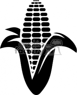 Black and white corn on the cob clipart. Royalty-free ...