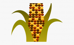 Harvest Clipart Maize - Indian Corn Clipart #96210 - Free ...