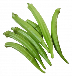 fresh okra png - Free PNG Images | TOPpng