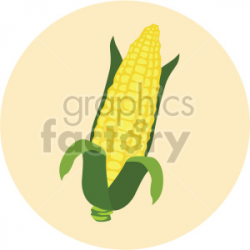 corn on the cob on yellow circle background clipart. Royalty-free clipart #  407993
