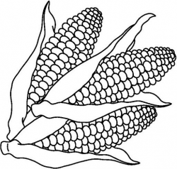 Free coloring pages of corn clipart | It's National Corn on ...