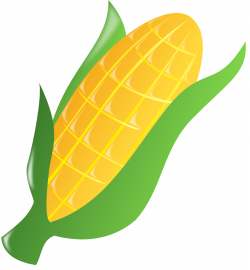 clipartist.net » Clip Art » corn SVG