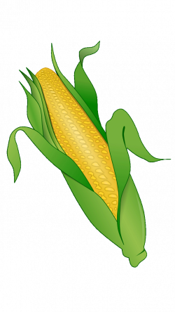 Corn Clipart | jokingart.com Corn Clipart