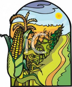 Free Corn Clipart row corn, Download Free Clip Art on Owips.com