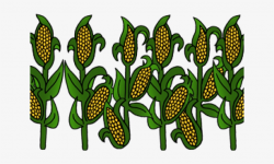 Cornfield Clipart Row Corn - Clip Art PNG Image ...