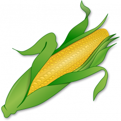 Corn PNG | PNG Mart