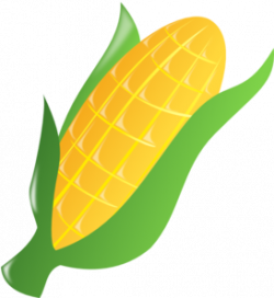 Free Fall Corn Cliparts, Download Free Clip Art, Free Clip ...