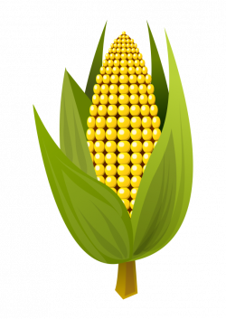 Clipart - Corn