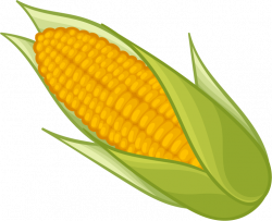 Corn PNG Transparent Free Images | PNG Only