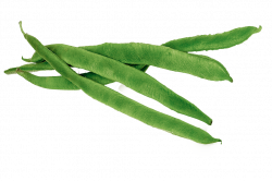 Green bean PNG images free download
