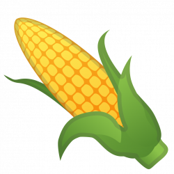 Ear of corn Icon | Noto Emoji Food Drink Iconset | Google