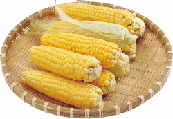 Corn PNG Image - PurePNG | Free transparent CC0 PNG Image Library