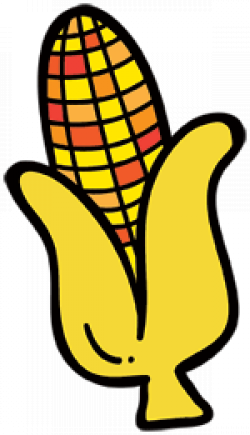 Thanksgiving Corn Clipart | Free download best Thanksgiving ...