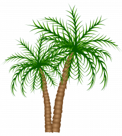Palm Trees PNG Clipart Picture | Gallery Yopriceville - High ...