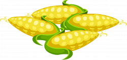 Food Corn Icons PNG - Free PNG and Icons Downloads