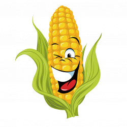 Corn On The Cob Clipart - Real Clipart And Vector Graphics •
