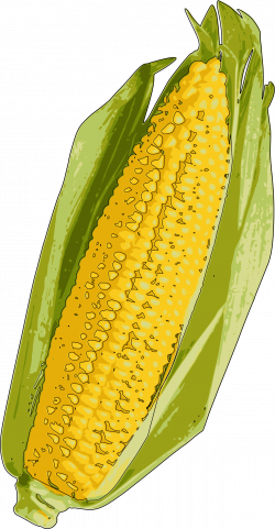 Clipart - Corn