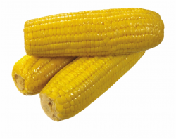Yellow Corn Png Image - Yellow Corn, Transparent Png ...