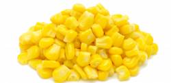Corn PNG Transparent Free Images | PNG Only
