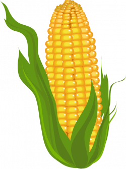corn clipart | prints, pictures and more | Pinterest