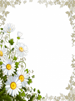 Transparent Frame with Daisies | Gallery Yopriceville - High ...