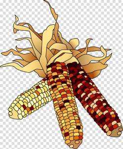 November Free content , Fall Corn transparent background PNG ...