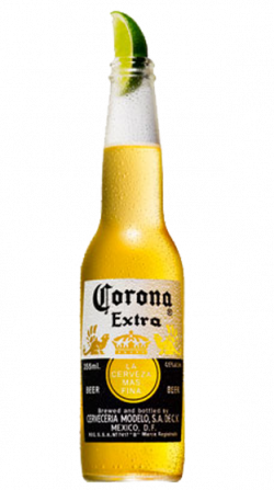 15 Corona beer png for free download on mbtskoudsalg