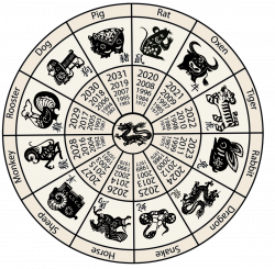 The Race of the Twelve: What Your Chinese Zodiac Animal Means for ...