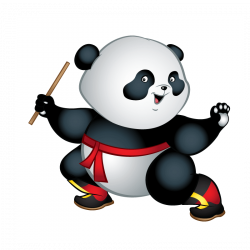 KungFu Panda Wheelchair Costume Child's – Rolling Buddies