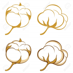 Cotton Clipart at GetDrawings.com | Free for personal use Cotton ...