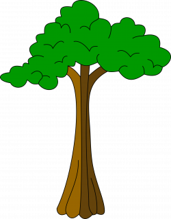 Clipart - Silk cotton tree