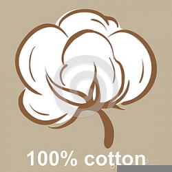 Cotton Boll Clipart | Free Images at Clker.com - vector clip ...