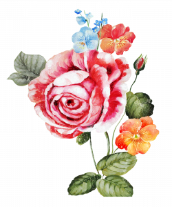 Çiçekler PNG Clipart_Lisa Audit_(69 Adet) | Dekupaj Desenleri ...