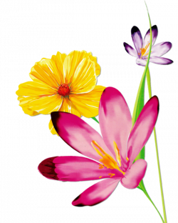 Pin by CARMEN DUNGAN: ) on FLOWERS | Pinterest | Watercolor, Flowers ...