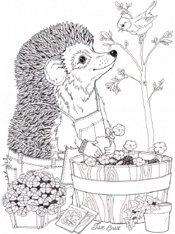 Top 10 'Jan Brett' Coloring Pages For Toddlers | Pinterest | Spring ...