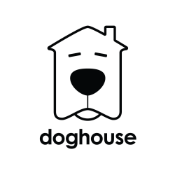 Doghouse Portraits | Seattle Best Dog Photography