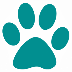 Picture Of A Paw Print | Free download best Picture Of A Paw Print ...