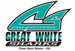 Pin by Amanda Baillie on Cheer Team Logos & Ideas | Pinterest | Cheer