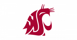 28+ Collection of Washington State Cougars Clipart | High quality ...