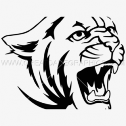 Cougar Clipart Drawing - Lion Clip Art #604328 - Free ...