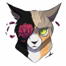 Commission | Your eyes by OwlCoat | warrior cats | Pinterest ...