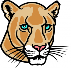 Free Cougar Face Cliparts, Download Free Clip Art, Free Clip ...