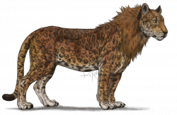 Leopon <3 | LEOPARD STUFF!!! | Pinterest | Amazing nature, Animal ...