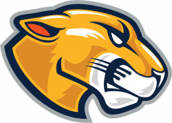 TB-Lion_Head.png (734×524) | Panthers-Cougars-Wildcats Logos ...