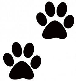 28+ Collection of Paw Print Clipart No Background | High quality ...