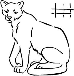 Free Cougar Coloring Pages