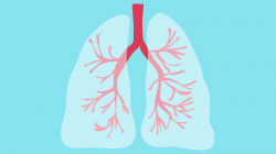 COPD - Symptoms, Treatment, and More